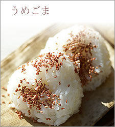 紀州南高梅干通販専門店の送料無料食べ比べセット